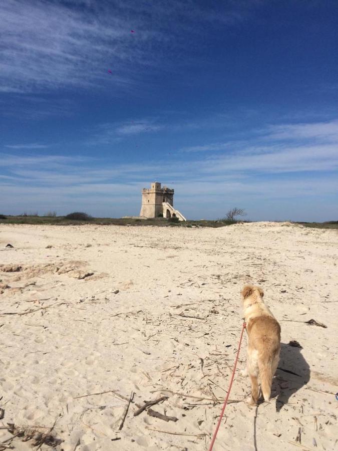 Villa Domenica Torre Squillace Eksteriør billede