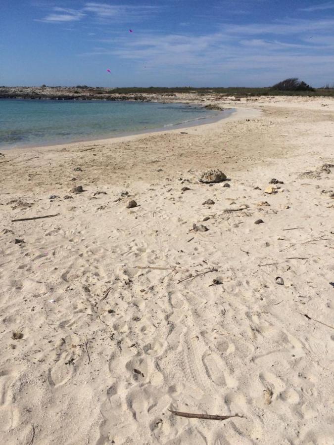 Villa Domenica Torre Squillace Eksteriør billede